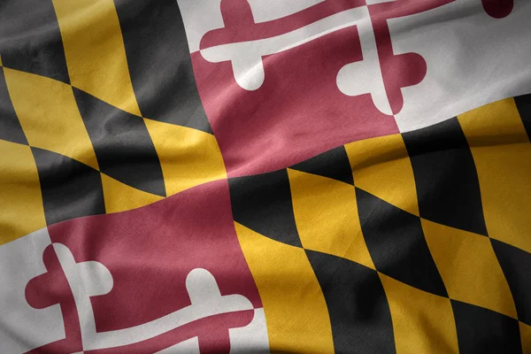 Sventolando bandiera colorata dello stato del Maryland . — Foto Stock