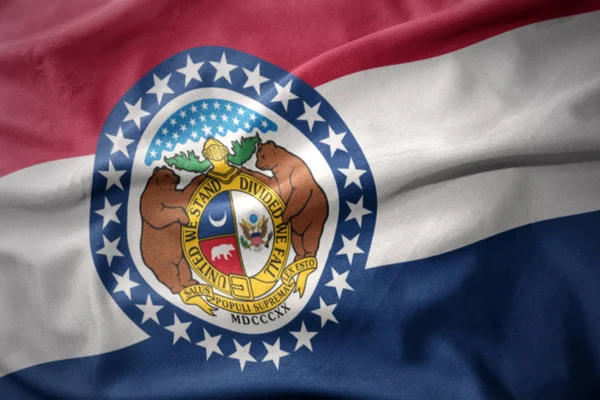 Размахивая красочным флагом штата Миссисипи . — стоковое фото