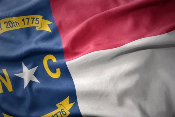 Agitant drapeau coloré de l'État de Caroline du Nord . — Photo