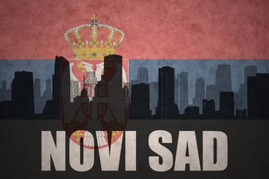 Özet metni vintage Sırp bayrağı Novi Sad ile şehir silüeti