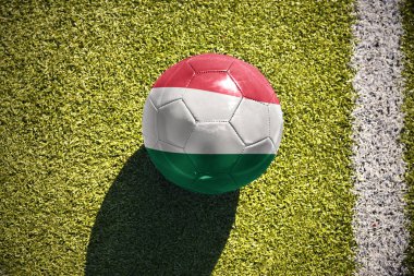 sahada futbol topu Macaristan bayrağı ile yatıyor