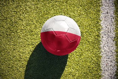 sahada futbol topu Polonya bayrağı ile yatıyor