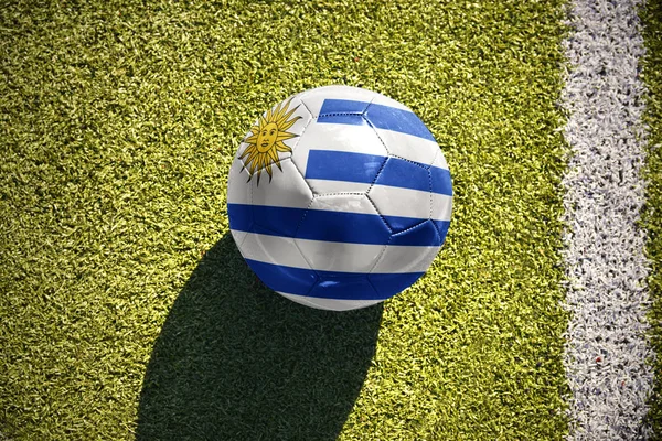 Pelota de fútbol con la bandera nacional de uruguay yace en el campo —  Fotos de Stock