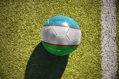 sahada futbol topu Özbekistan bayrağı ile yatıyor