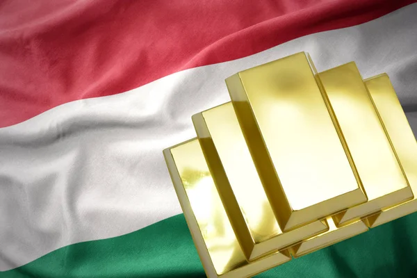 ハンガリーの国旗を黄金 bullions を照らす — ストック写真