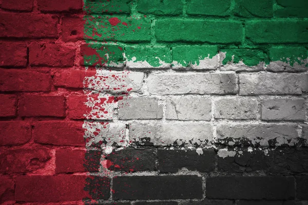 画的阿拉伯联合酋长国在砖墙上的国旗 — 图库照片