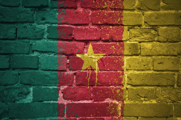 Nationale vlag van Kameroen op een bakstenen muur geschilderd — Stockfoto