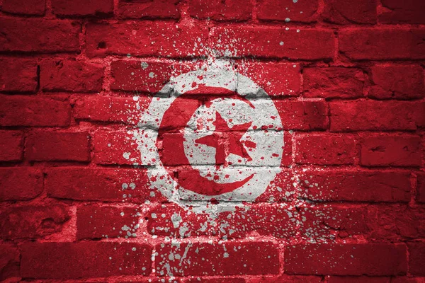 Bandeira nacional pintada de tunisia em uma parede de tijolo — Fotografia de Stock