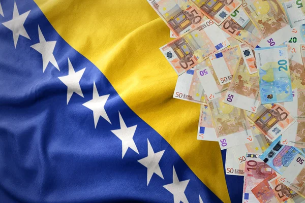 Euro para Lirası üstünde sallanan Bosna-Hersek bayrağı. — Stok fotoğraf