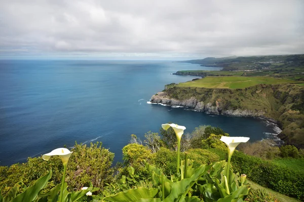 Зеленый остров. изумительный вид на зеленый плащ и Атлантический океан — стоковое фото