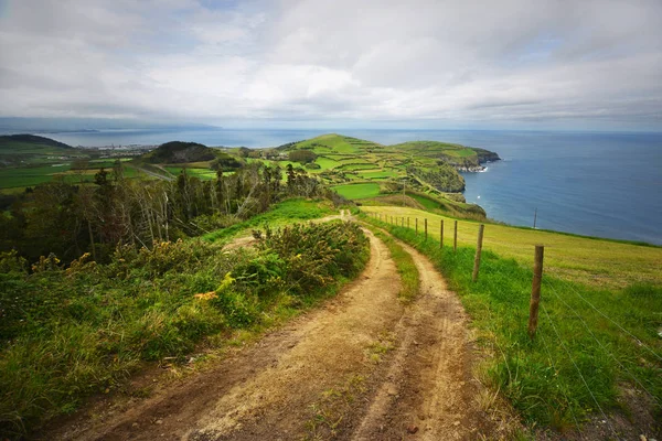 Gröna ön. fantastisk utsikt över den gröna udden, gamla vägen och Atlanten — Stockfoto
