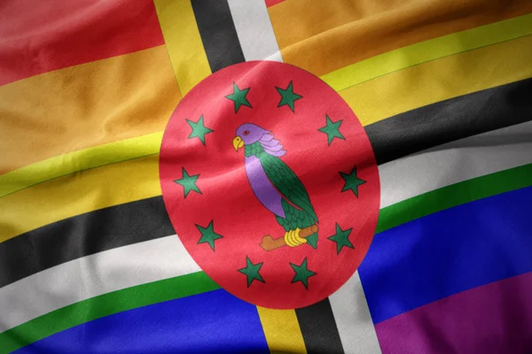 Dominika gökkuşağı Eşcinsel gurur bayrak bayrak sallayarak — Stok fotoğraf