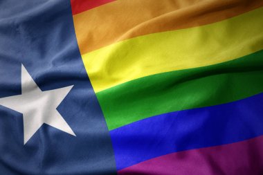 Texas devlet gökkuşağı Eşcinsel gurur bayrak bayrak sallayarak