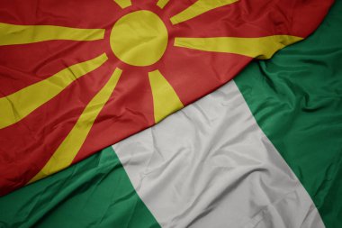 Nijerya 'nın renkli bayrağını sallayarak ve ulusal Macedonia bayrağını sallayarak.