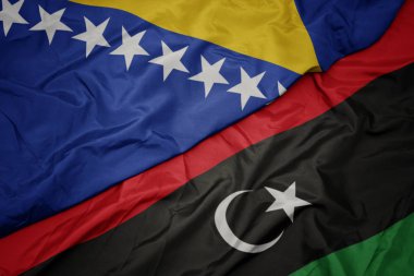 Libya 'nın renkli bayrağını sallıyor Bosna ve Herzegovina' nın ulusal bayrağını sallıyor.