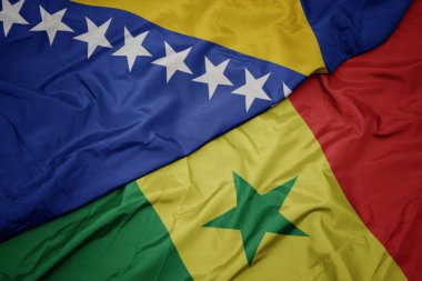 Senegal ve Bosna ve Herzegovina 'nın bayrağını sallıyor..