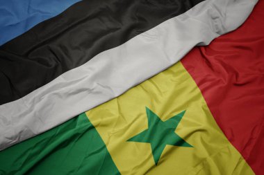 Senegal ve ulusal Estonya bayrağının renkli bayrağını sallıyor..