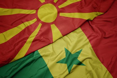 Senegal 'in renkli bayrağını sallayarak ve Macedonia' nın ulusal bayrağını sallayarak.