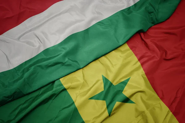 Senegal ve Hungary bayrağının renkli bayrağını sallıyor.. — Stok fotoğraf