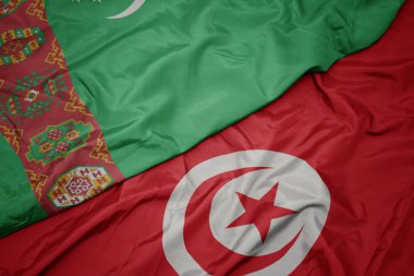Tunus 'un renkli bayrağı ve Türkiye' nin ulusal bayrağı sallanıyor..
