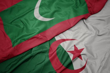 Cezayir 'in renkli bayrağı ve maldivlerin ulusal bayrağı sallanıyor..