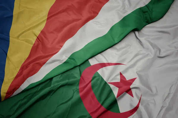 Waving colorful flag of algeria and national flag of seychelles. — ストック写真