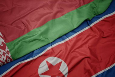 Kuzey Kore 'nin renkli bayrağı ve Belarus' un ulusal bayrağı sallanıyor..