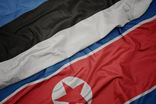 Kuzey Kore 'nin renkli bayrağı ve ulusal Estonya bayrağı sallanıyor.. — Stok fotoğraf