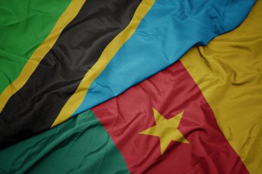 Kamerun renkli bayrağını sallıyor ve tanzanya bayrağını sallıyor..