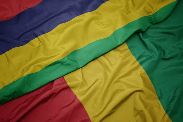 挥动着五彩缤纷的几内亚国旗和红葡萄酒国旗. — 图库照片