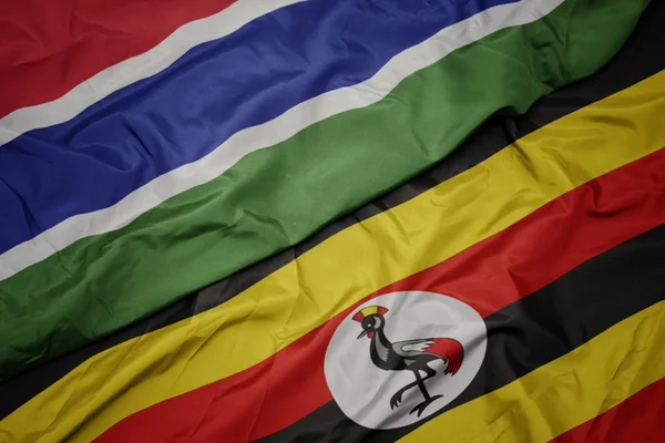 ウガンダのカラフルな旗やガンビアの国旗を振って. — ストック写真