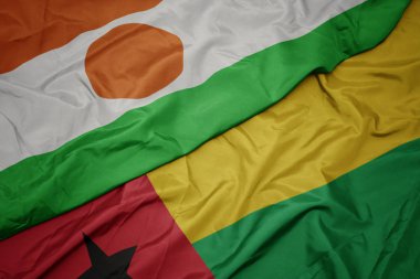 Gine bissau 'nun renkli bayrağı ve Nijer' in ulusal bayrağı sallanıyor..