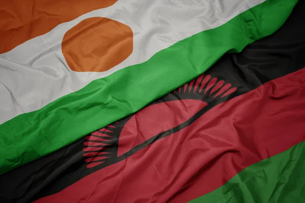マラウィのカラフルな旗とナイガーの国旗を振って. — ストック写真