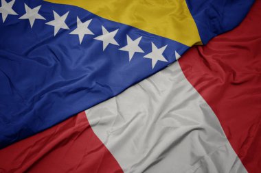 Peru 'nun renkli bayrağını sallıyor Bosna ve Herzegovina' nın ulusal bayrağını sallıyor..