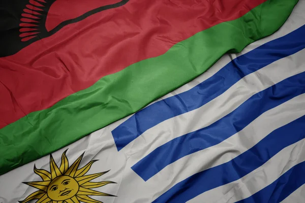 waving colorful flag of uruguay and national flag of malawi. macro