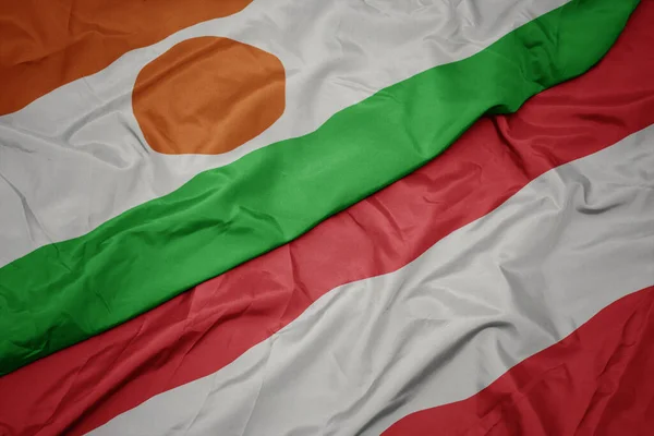 Mávající Barevnou Vlajkou Rakouska Národní Vlajkou Nigeru Makro — Stock fotografie