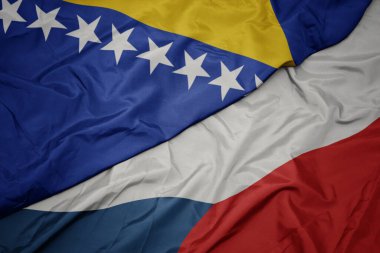 Czech cumhuriyetinin renkli bayrağını sallıyor ve Bosna ve Herzegovina bayrağını sallıyor. makro