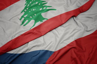 Czech cumhuriyetinin renkli bayrağını ve Lübnan bayrağını sallıyordu. makro