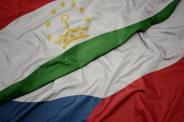 Czech cumhuriyetinin renkli bayrağını ve Tacikistan 'ın ulusal bayrağını sallıyordu. makro