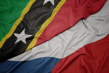 Çekoslovakya Cumhuriyeti 'nin renkli bayrağını sallıyordu. Ulusal Aziz Kitts ve Nevis bayrağını sallıyordu. makro