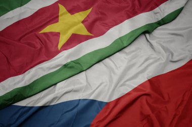 Czech Cumhuriyeti 'nin renkli bayrağı ve Surinam' ın ulusal bayrağını sallıyordu. makro