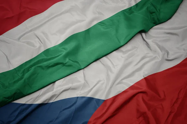 Schwenkt Die Bunte Fahne Der Tschechischen Republik Und Die Nationalflagge — Stockfoto