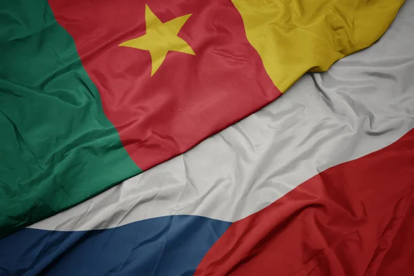 Sventolando Bandiera Colorata Della Repubblica Ceca Bandiera Nazionale Del Camerun — Foto Stock
