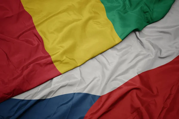 Waving Colorful Flag Czech Republic National Flag Guinea Macro — Stock Photo, Image