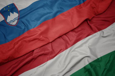 Hungary ve ulusal Slovenia bayrağının renkli bayrağını sallıyordu. makro