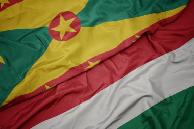 Grenada bayrağının rengarenk bayrağını sallıyordu. makro