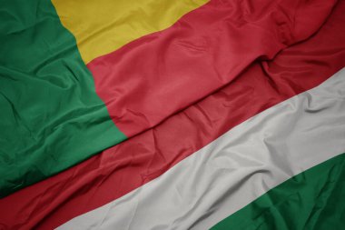 Yüzlü ve ulusal bayrağın rengarenk bayrağını sallıyordu. makro