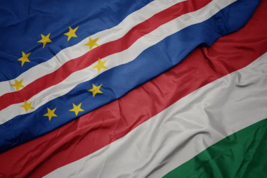 Cape Verde bayrağının rengarenk bayrağını sallıyordu. makro