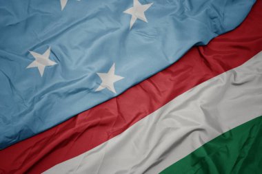 Mikronezya Birleşik Devletleri 'nin renkli bayrağını sallıyordu. makro