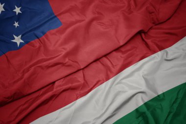 Samoa bayrağının rengarenk bayrağını sallıyordu. makro